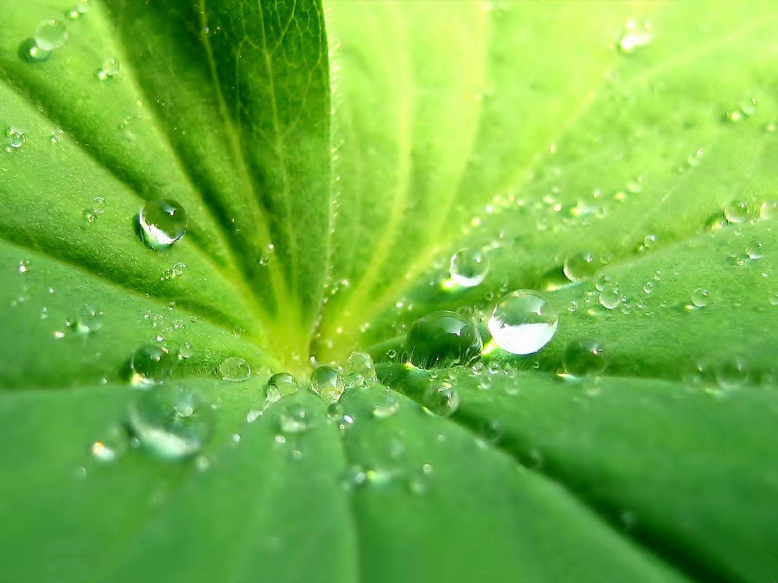 温水煮青蛙的启示